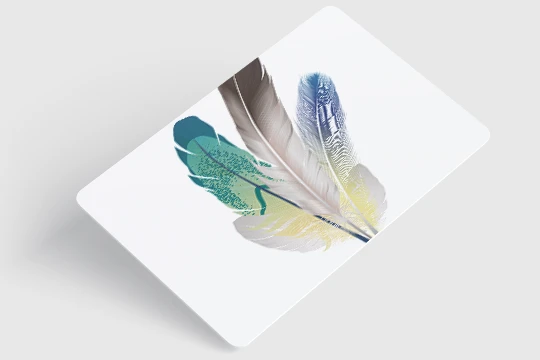 Dünne Plastikkarten